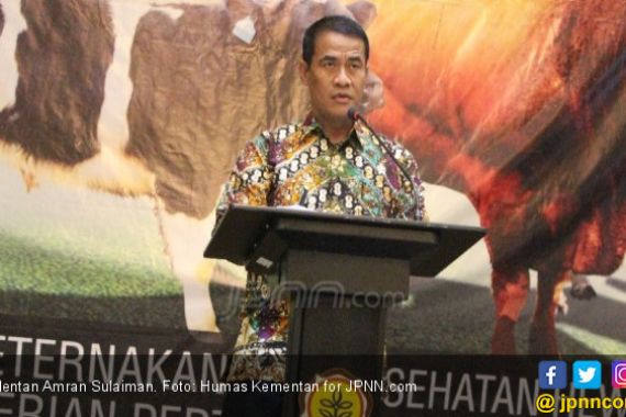 Menteri Amran Sulaiman Tingkatkan Ekspor Jagung Pakan - JPNN.COM