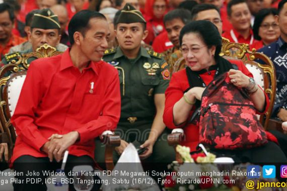 Tegas Jaga Kekayaan Indonesia, Jokowi Dipuji Megawati - JPNN.COM