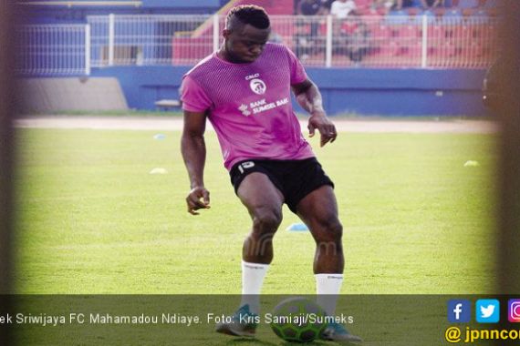 Sriwijaya FC Masih Bergantung Pada Mahamadou N'Diaye - JPNN.COM
