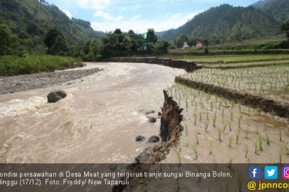 Sungai Meluap, Lahan Persawahan Tersapu Banjir di Desa Meat - JPNN.COM