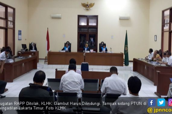 Gugatan RAPP Ditolak, KLHK: Gambut Harus Dilindungi - JPNN.COM
