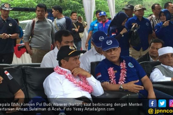 Seribu Hektare Ladang Ganja Disulap Jadi Tanaman Produktif - JPNN.COM