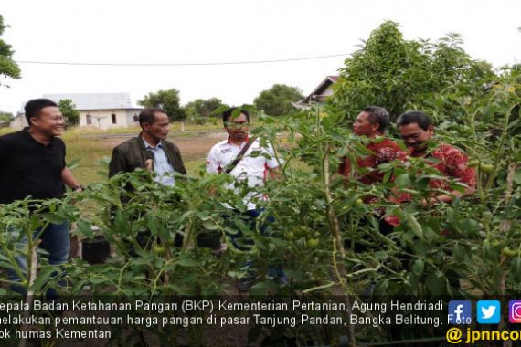 KRPL Bisa Atasi Kemiskinan dan Kerentanan Rawan Pangan - JPNN.COM