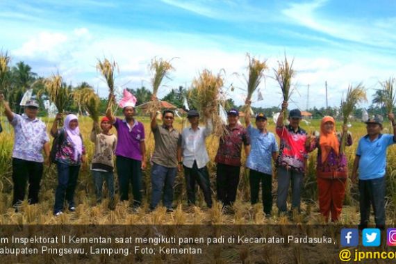 Gabah Melimpah, Petani Semringah - JPNN.COM