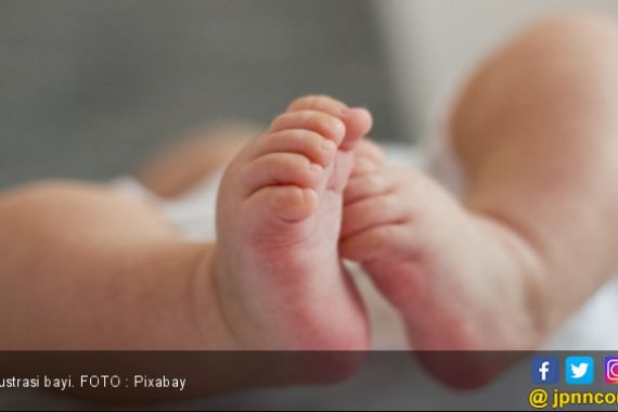 Temukan Bayi Perempuan di Tepi Jalan - JPNN.COM