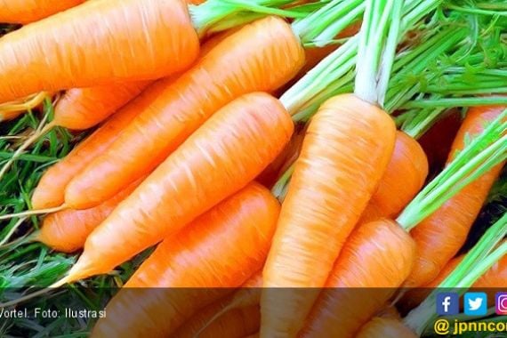Usir Kolesterol Jahat dengan Mengonsumsi 5 Jenis Sayuran Ini - JPNN.COM