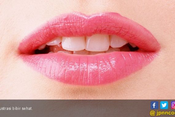 3 Langkah Mudah Membuat Bibir Anda Lembut dan Sehat - JPNN.COM