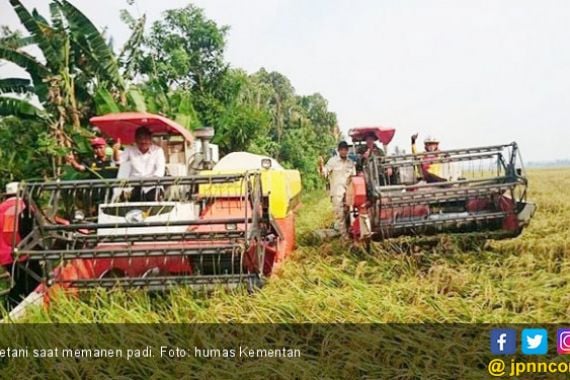 Lahan Rawa Lebak Berpotensi Jadi Lumbung Pangan - JPNN.COM