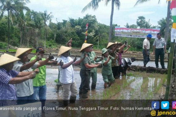 Flores Timur Siap Dukung Swasembada Pangan Nasional - JPNN.COM