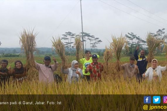 Petani: Panen Awal Tahun Bikin Kami Bangga - JPNN.COM