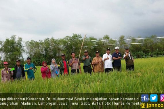 Produksi Melimpah, Petani Maduran Tolak Impor Beras - JPNN.COM