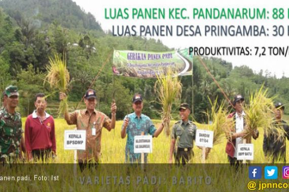 Panen Padi Banjarnegara, Stok Indonesia Aman - JPNN.COM