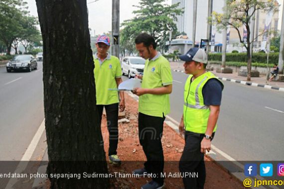 Trotoar Sudirman-Thamrin Direnovasi, Beberapa Pohon Ditebang - JPNN.COM