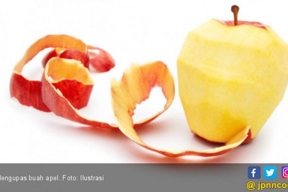 Makan Apel, Lebih Baik dengan Kulitnya atau Dikupas? - JPNN.COM