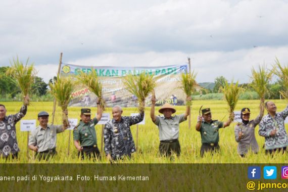 Kata Siapa Stok Beras Menipis? Indonesia Sedang Panen Raya - JPNN.COM