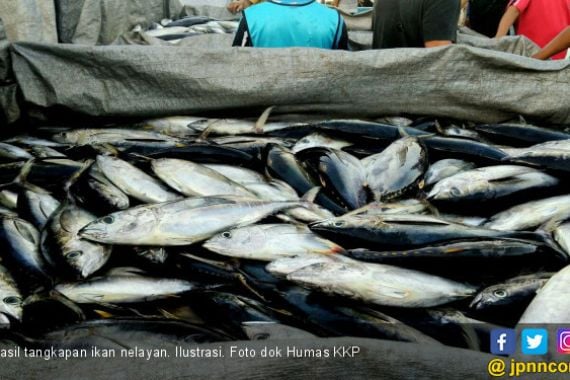 Nilai Ekspor Perikanan Indonesia Naik 8,12 Persen - JPNN.COM