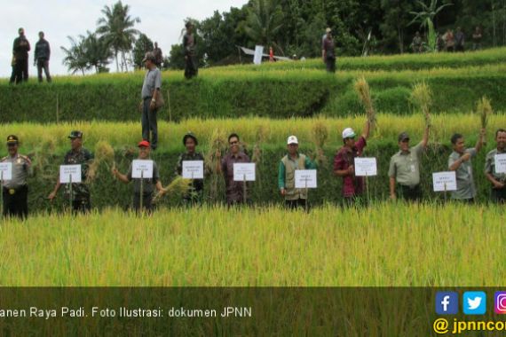 Giliran Petani Lingga Akan Panen Raya - JPNN.COM