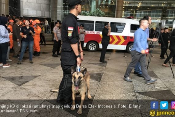 Anjing K9 Dikerahkan ke Gedung Bursa Efek Indonesia - JPNN.COM