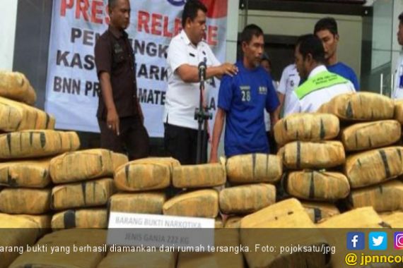 Kakek 63 Tahun Simpan 222 Kilogram Ganja di Rumahnya - JPNN.COM