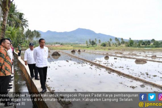 Tinjau Proyek Ini, Jokowi Blusukan ke Lampung Selatan - JPNN.COM