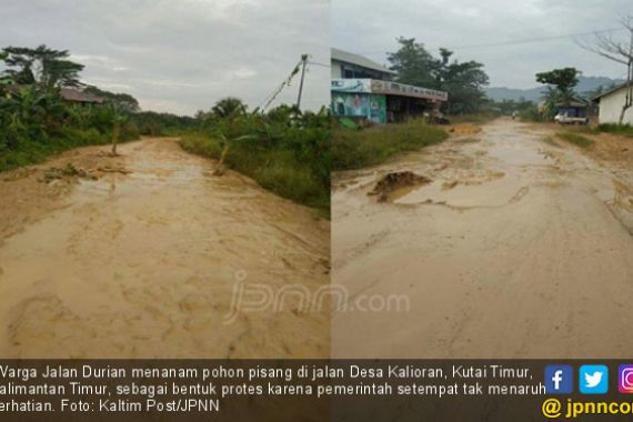 Jalan Rusak Parah, Warga Tanami Pohon Pisang - JPNN.COM