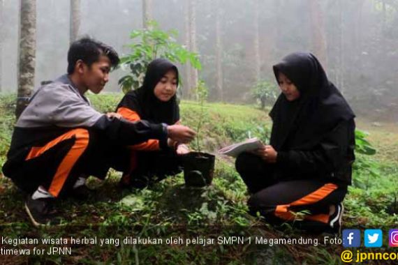 Liburan Sambil Belajar Tanaman Herbal? Citamiyang Tempatnya - JPNN.COM