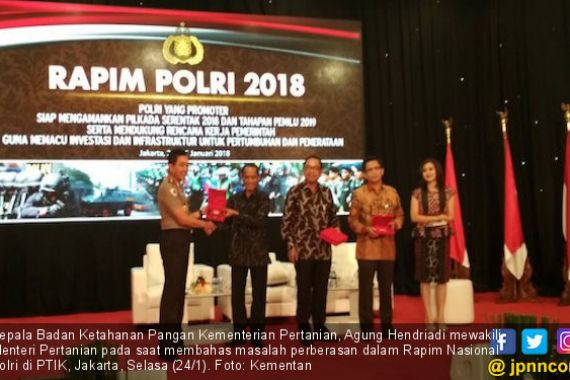 Insyaallah, Produksi Beras Nasional Surplus - JPNN.COM