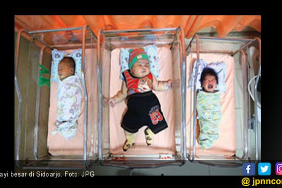 Bayi Terbesar Baru Lahir di Sidoarjo - JPNN.COM