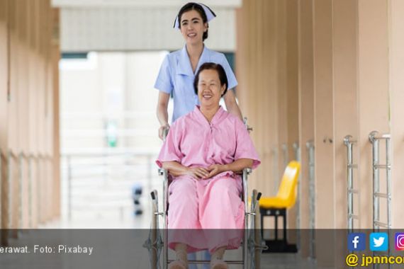Di Luar Negeri Perawat Digaji Rp 30 Juta, di Indonesia? - JPNN.COM
