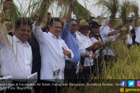 Setahun Tiga Kali Panen Raya Padi, Petani Bisa Untung Besar - JPNN.COM