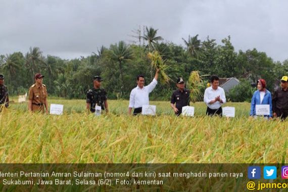 Tim Sergab Langsung Borong Gabah Petani di Sukabumi - JPNN.COM