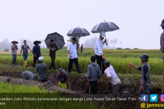Pak Jokowi Rela Kehujanan Demi Padat Karya di Tanah Datar - JPNN.COM
