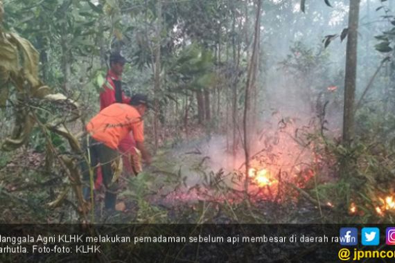 Manggala Agni Antisipasi Karhutla Meluas - JPNN.COM