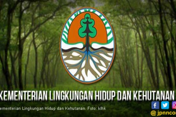 KLHK: HGU PT BUK di Luar Kawasan Hutan - JPNN.COM