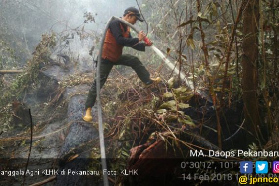 KLHK Padamkan Karhutla di Sumatera dari Darat dan Udara - JPNN.COM