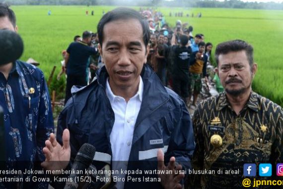 Blusukan ke Sawah, Presiden Jokowi Kehujanan Lagi - JPNN.COM