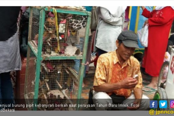 Penjual Burung Pipit Kecipratan Berkah Imlek - JPNN.COM