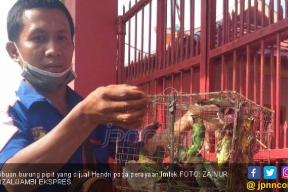 Jualan Burung Pipit Jelang Imlek, Untung Lumayan - JPNN.COM