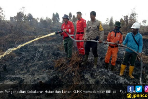Kebakaran Lahan Riau, Kepolisian Tangkap 14 Orang - JPNN.COM