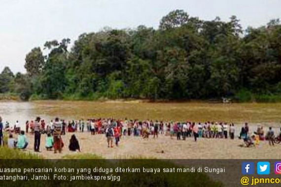 Warga Jelmu Diterkam Buaya Saat Mandi di Sungai Batanghari - JPNN.COM