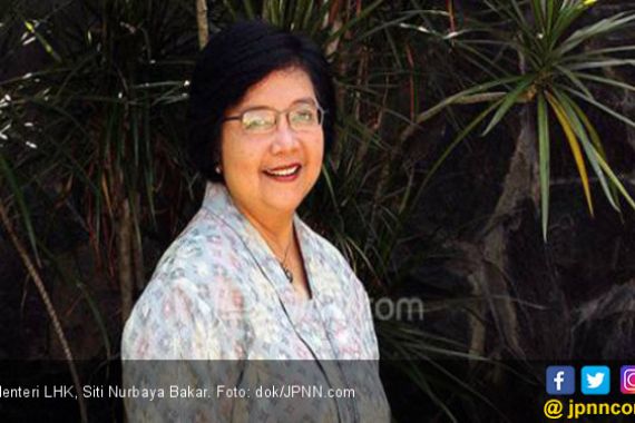 Menteri Siti Kaji Revisi Inpres Gambut - JPNN.COM