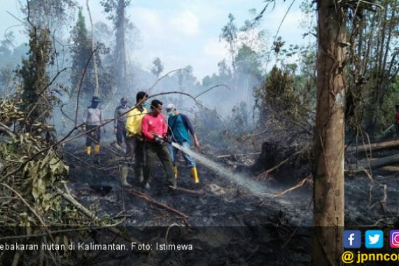 Berani Bakar Hutan, Lumpuhkan dengan Tembakan - JPNN.COM