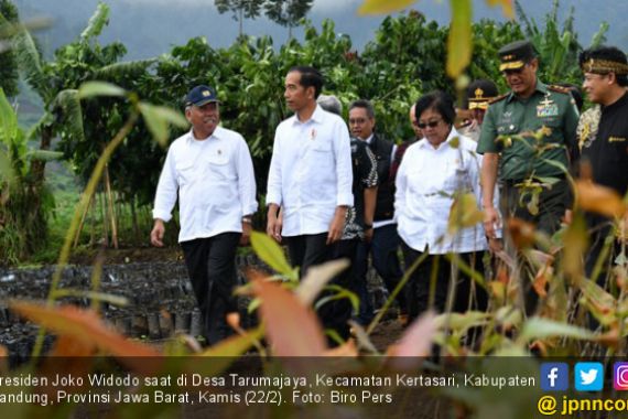Presiden Jokowi Lepas Sepasang Elang Jawa di Sungai Citarum - JPNN.COM