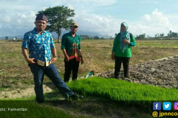 Petani Lampung Selatan Terapkan Sistem Unik - JPNN.COM