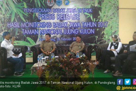 67 Badak Jawa Terpantau di Taman Nasional Ujung Kulon - JPNN.COM