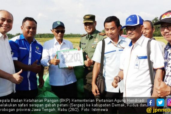 Serap Gabah untuk Mengisi Cadangan Beras Pemerintah - JPNN.COM