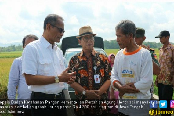 Cadangan Beras Pemerintah Perkokoh Kedaulatan Pangan - JPNN.COM