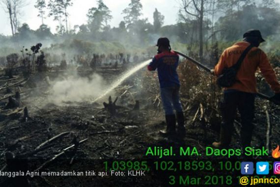 Manggala Agni Padamkan Beberapa Titik Karhutla di Riau - JPNN.COM