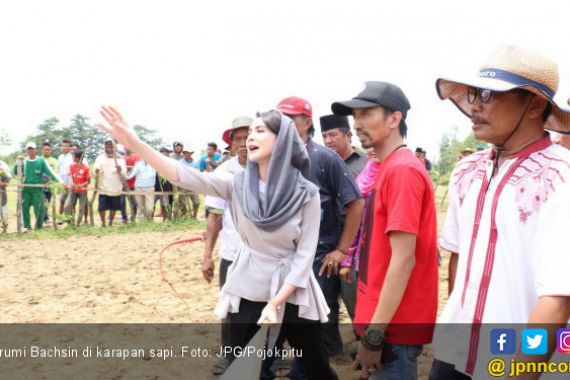 Duh Cantiknya Arumi di Tengah Balapan Sapi - JPNN.COM