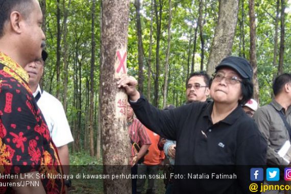 Presiden Kembali ke Tuban, Buktikan Hasil Perhutanan Sosial - JPNN.COM